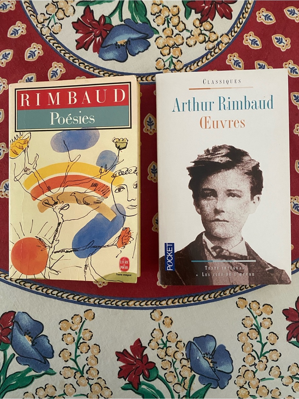 Arthur Rimbaud - 2 French Language Paperbacks